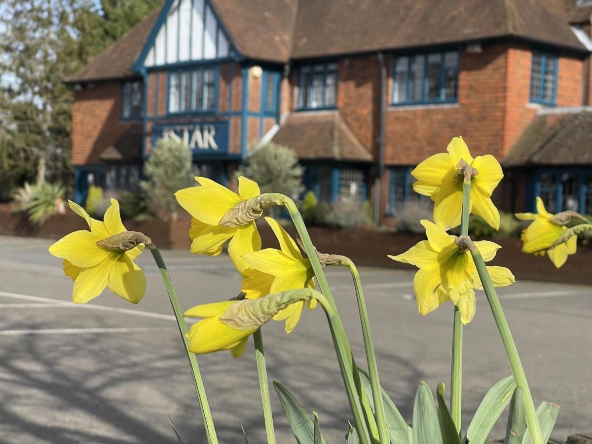 The Star Inn Lingfield Εξωτερικό φωτογραφία