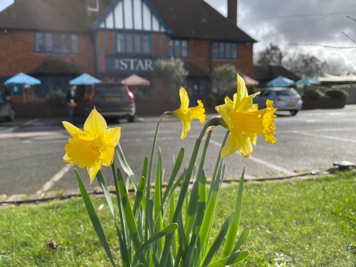 The Star Inn Lingfield Εξωτερικό φωτογραφία