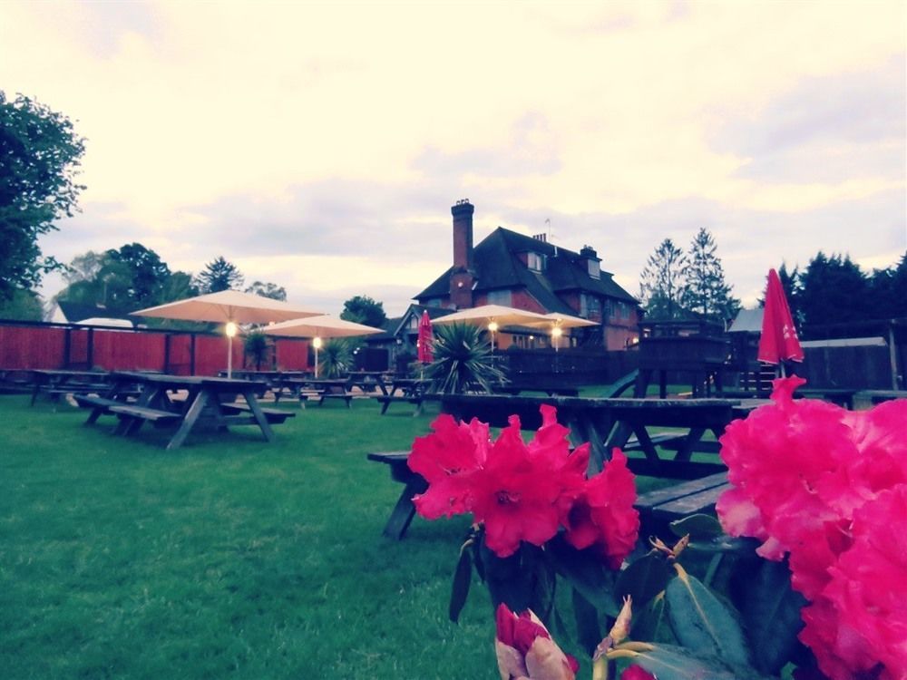 The Star Inn Lingfield Εξωτερικό φωτογραφία